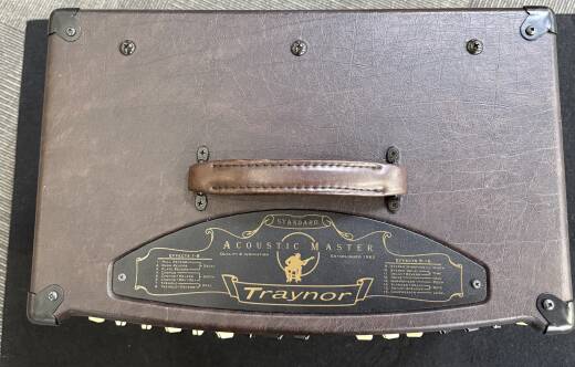 Traynor - AMSTANDARD 2